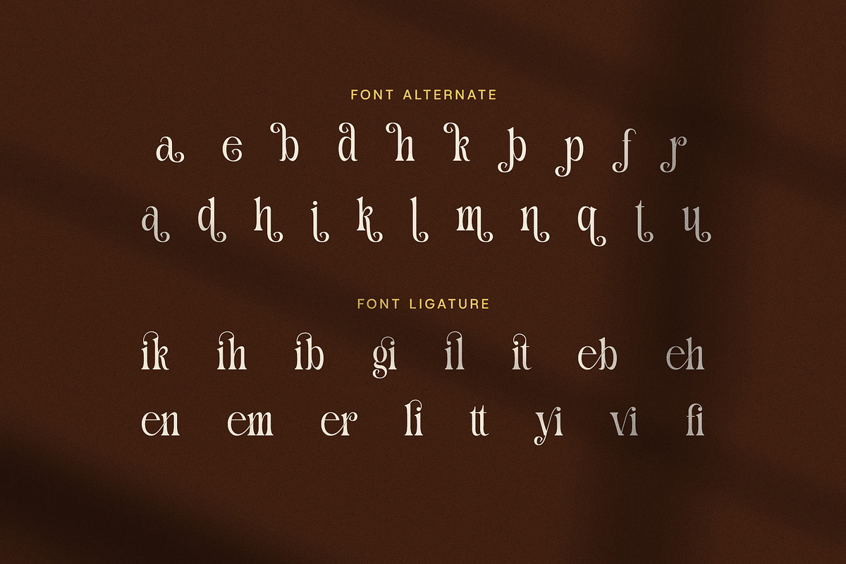 Galina Elegant Serif Font, a Serif Font by Elegant Font (Photo 8 of 8)