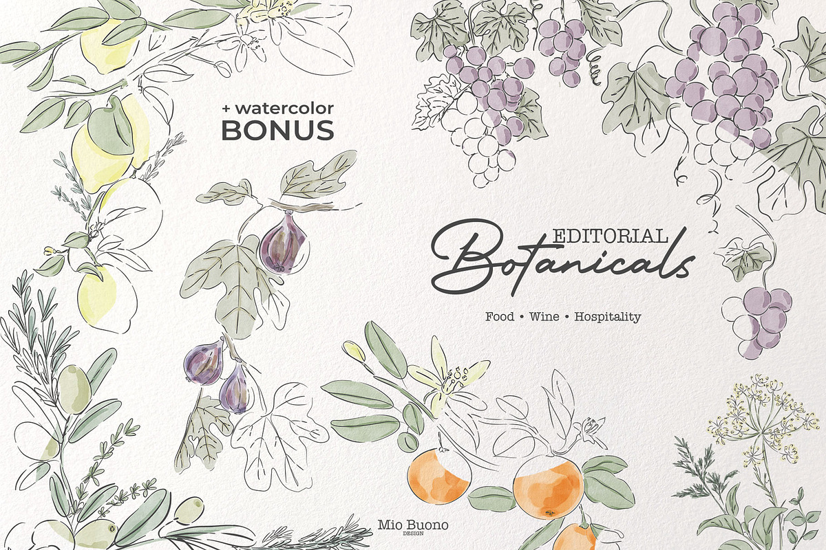 Editorial Botanical Line Art, an Object Illustration by Mio Buono (Photo 11 of 16)
