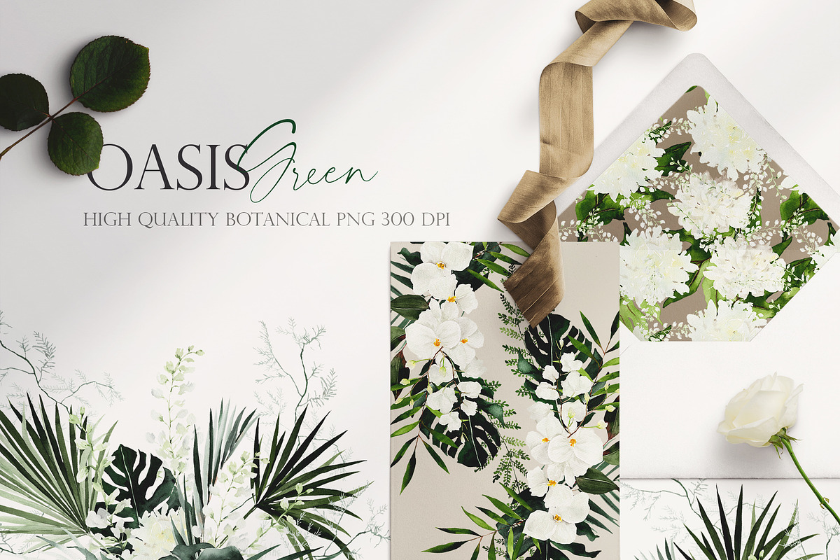 OASIS green - Wedding clipart, an Illustration by Beigetime (Photo 3 of 11)