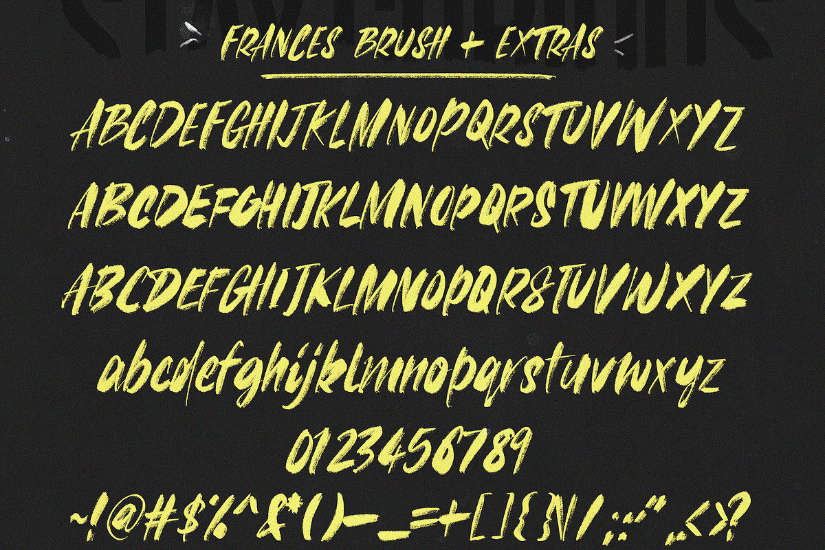 FRANCES BRUSH SVG Font, a Script Font by Cameron Humphries (Photo 8 of 8)