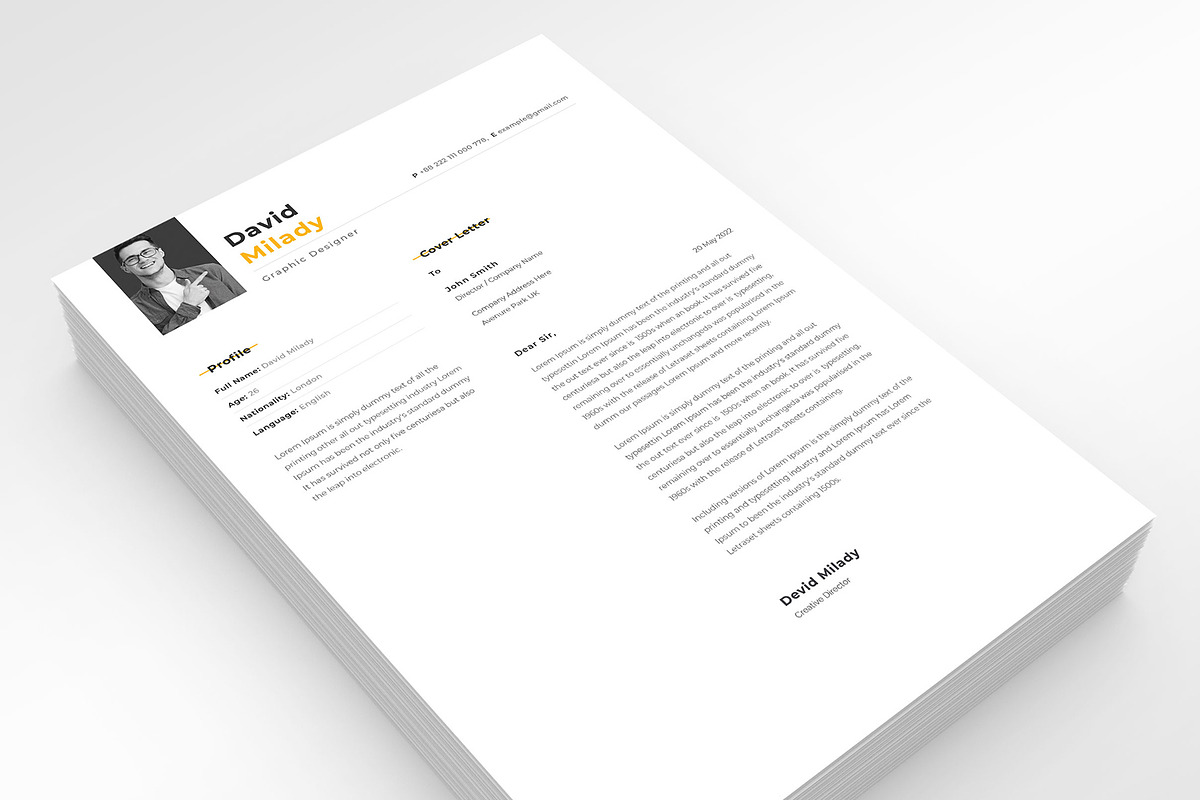 Professional Resume Template, a Resume Template by PicoartBd (Photo 4 of 4)