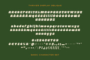 Thriver – Retro Display Font Family, a Sans Serif Font by SNI Typeworks (Thumbnail 5 of 11)