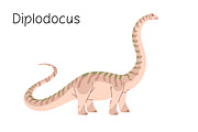 Dinosaurs, big ancient animals set, an Animal Illustration by PaperTrident (Thumbnail 15 of 19)
