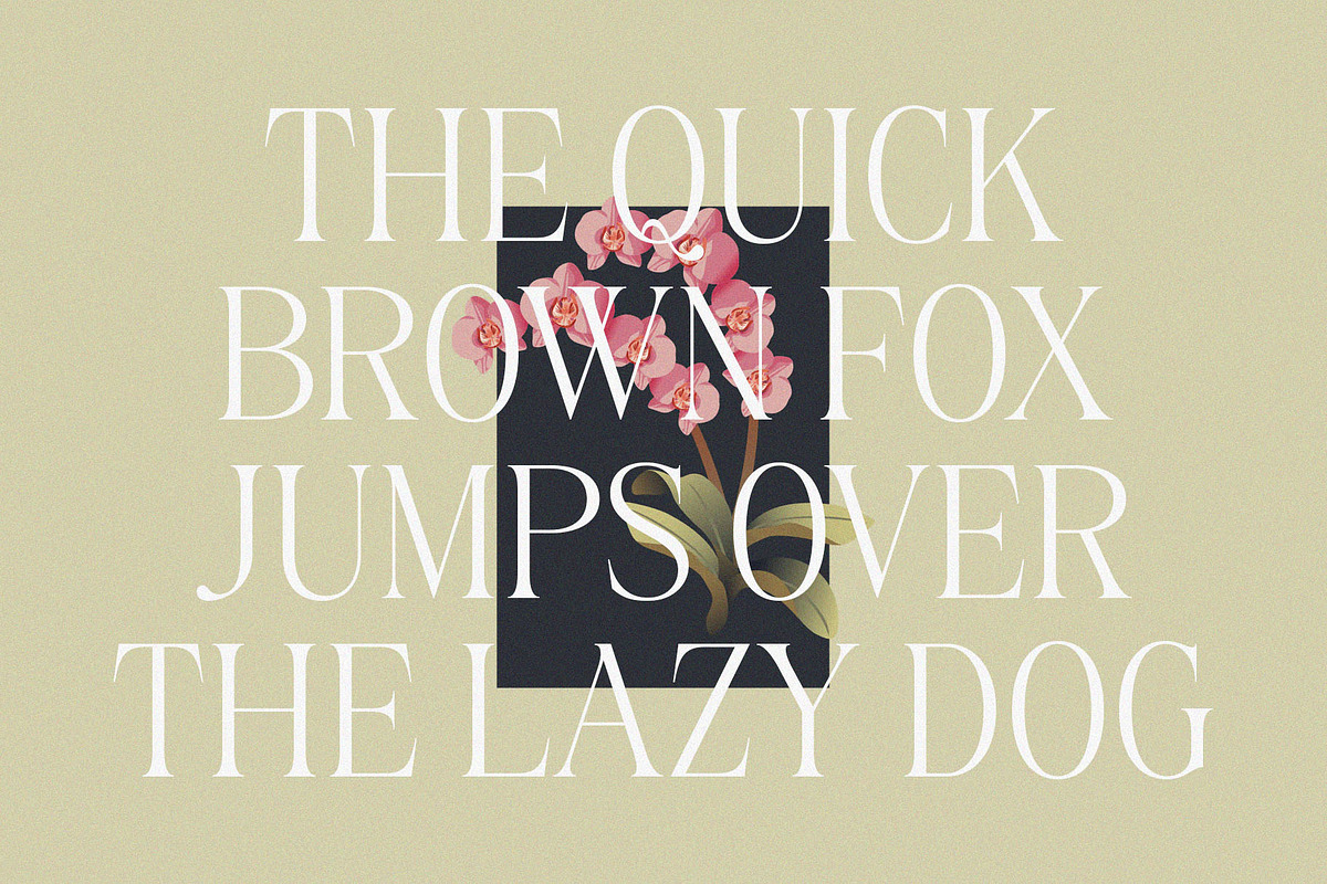 Belinda Avenue || Stylish Classic Se, a Serif Font by BrandSemut (Photo 3 of 10)