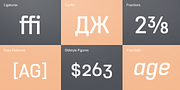 Core Sans R, a Sans Serif Font by S-Core (Thumbnail 5 of 6)