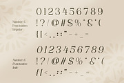 Romens Dawn - Retro Serif Font, a Serif Font by Flawless And Co (Thumbnail 9 of 10)