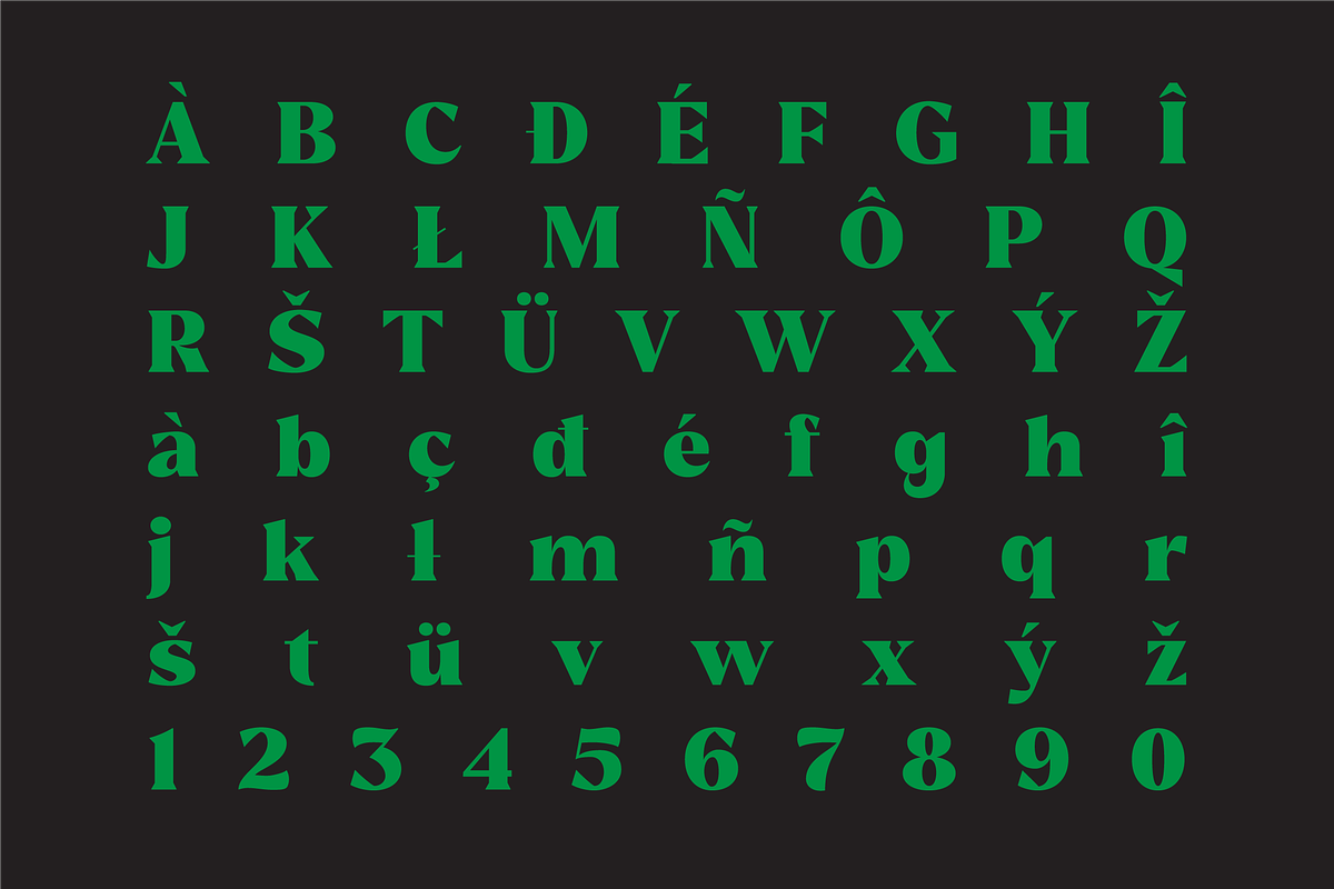 Reshiga - Serif Font, a Serif Font by limitype (Photo 8 of 13)