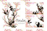 Panda clipart, PNG Amimals, an Animal Illustration by MitrushovaArt (Thumbnail 3 of 8)
