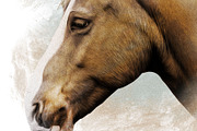 Horse Illustration, an Animal Illustration by Digital Art Downloads (Thumbnail 4 of 4)