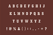 Rustic Vintage, a Slab Serif Font by Limited.studio (Thumbnail 7 of 7)