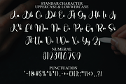 Bright Starlight, a Handwritten Font by FreshTypeINK (Thumbnail 7 of 8)