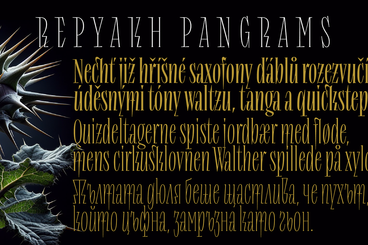 Repyakh Variable, a Serif Font by LevType (Photo 13 of 14)