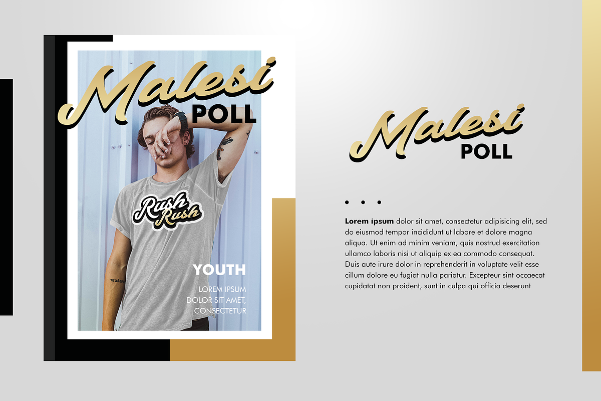 Talmano Script Font 80%OFF preview 5