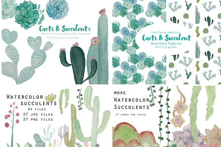 Watercolor Cacti & Succulent 4 pack