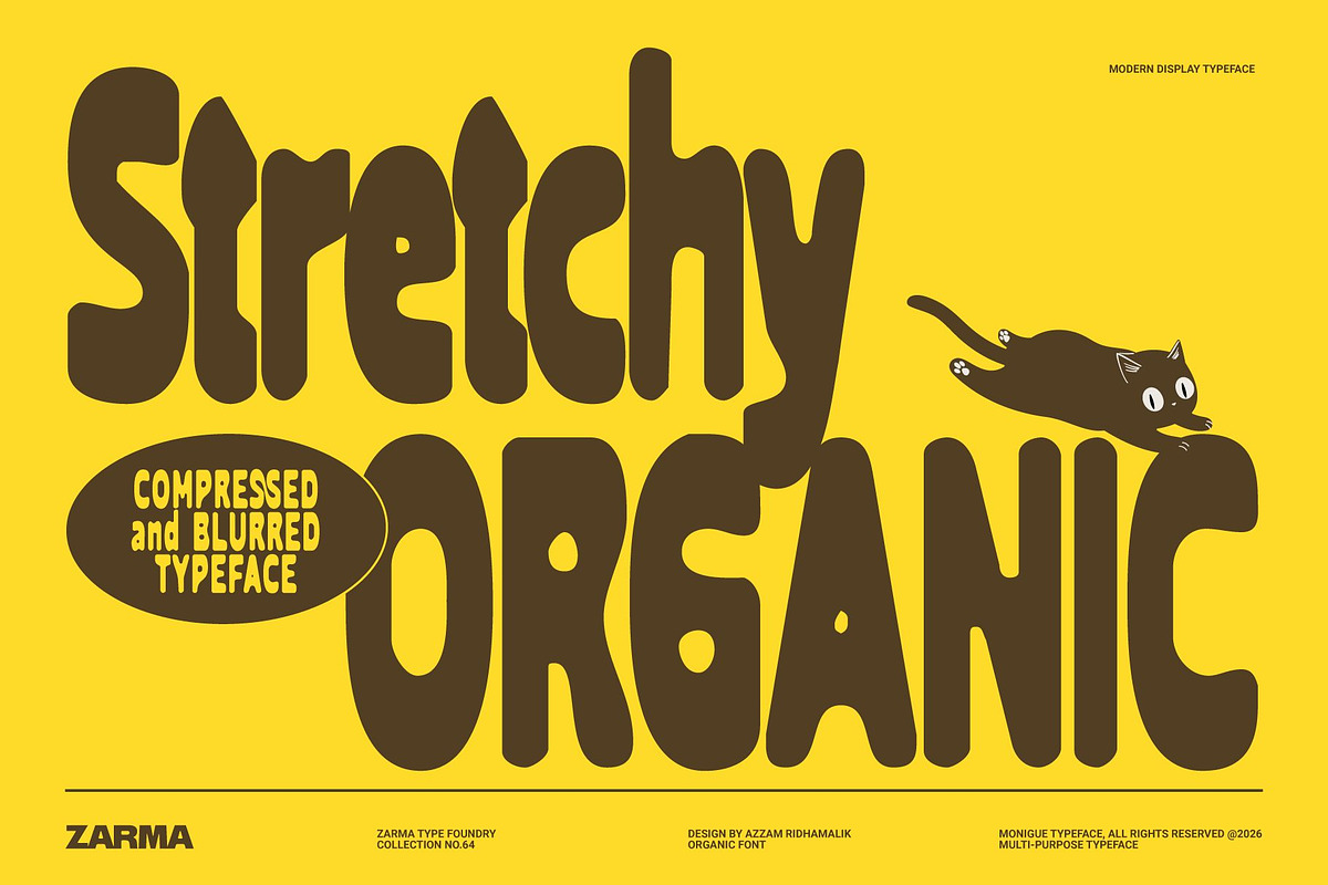 Stretchy Organic - Compressed Font, a Sans Serif Font by Zarma Type (Photo 1 of 10)