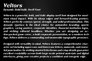 Veltors Dynamic Display Typeface, a Serif Font by OWPictures (Thumbnail 7 of 8)