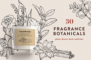 Fragrance Botanicals | 30 designs, an Illustration by amber&ink (Thumbnail 1 of 8)