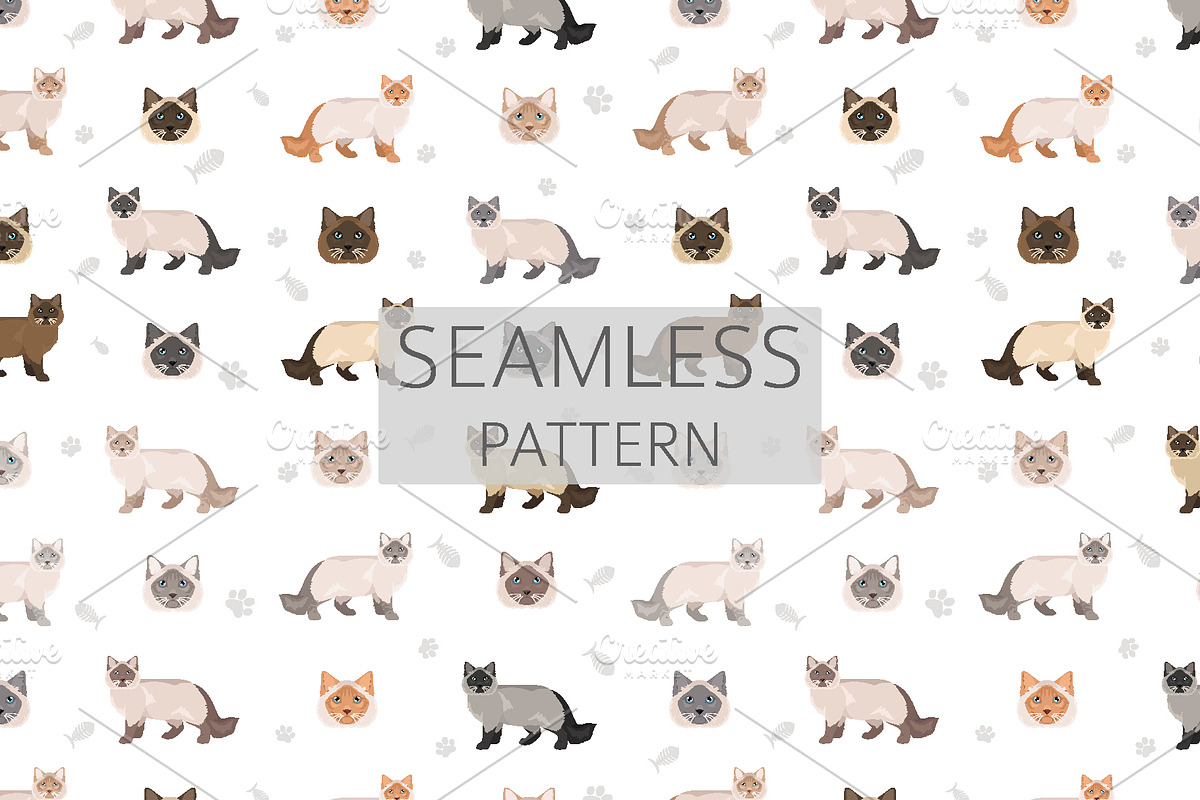 Neva Masquerade cat, an Animal Illustration by pet design shop (Photo 6 of 6)