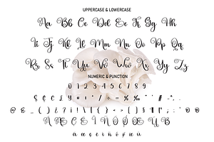 Mushroom Script Font