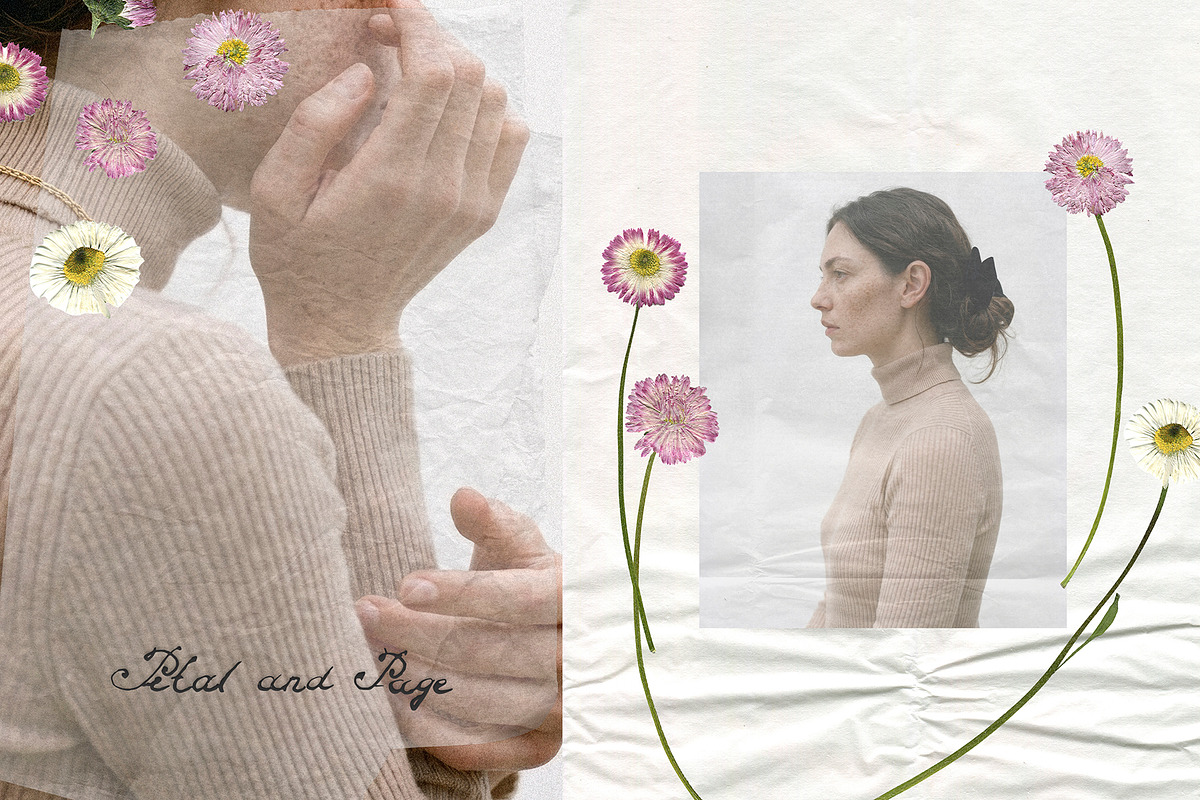 Petal & Page - Paper and Fowers, an Object Graphic by Watercolor_Ma (Photo 6 of 7)