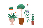 House plants, flowers in pots set, an Object Illustration by Good Studio (Thumbnail 3 of 5)