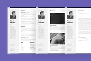 Professional Resume Set 1 Vertical, a Resume Template by DEFNST (Thumbnail 8 of 9)