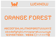 Future Mind font, a Font by weknow (Thumbnail 2 of 8)