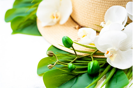 Palm leaves, hat and tropical, a Nature Photo by Nadia-nb