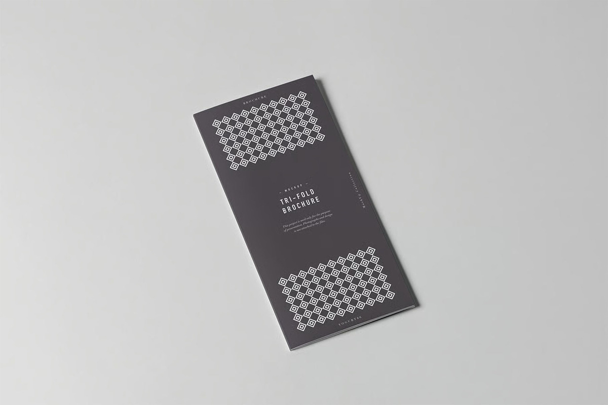 Tri-Fold DL Brochure Mock-up, an Advertising Mockup by zippypixelstudio (Photo 5 of 11)