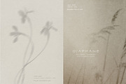 Diaphane - Blurry Floral Backgrounds, a Background Graphic by alonahaidash (Thumbnail 7 of 16)