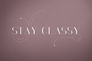 RoseGold Serif font + 10 Logos, a Serif Font by VP Fonts (Thumbnail 4 of 20)