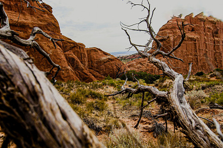 Arches National Park, a Nature Photo by Figment.Studio