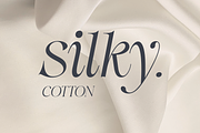 Swily Bright | Classy Font, a Serif Font by Jolicia Type (Thumbnail 3 of 11)