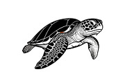 50 Sea Turtle Vector Silhouette Bund, an Illustration by jahid234 (Thumbnail 39 of 51)