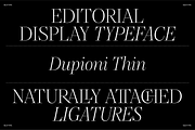 Dupioni Thin - Ligature Serif, a Serif Font by Silktype (Thumbnail 2 of 20)