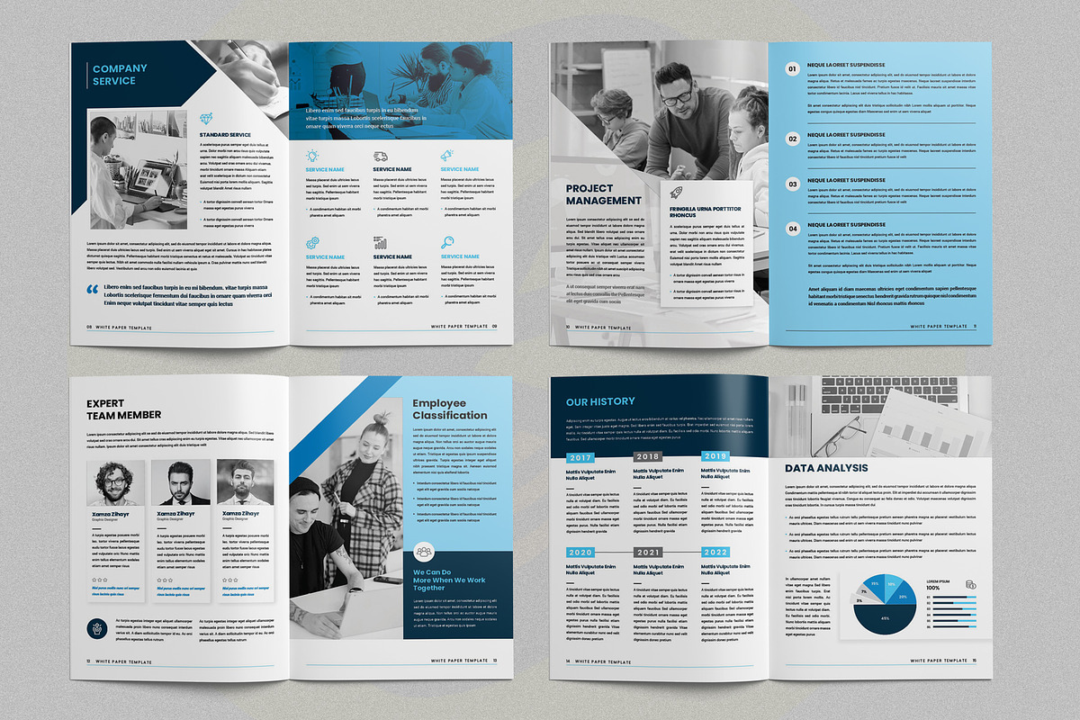 White Paper Template, a Brochure Template by ArtisticLand (Photo 5 of 8)
