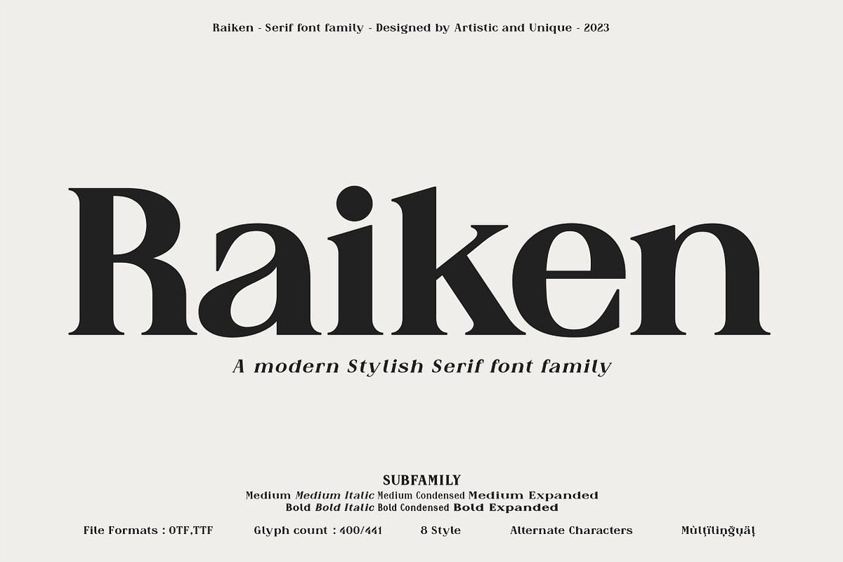 Raiken - Serif font family, a Serif Font by Artistic & Unique (Photo 1 of 14)