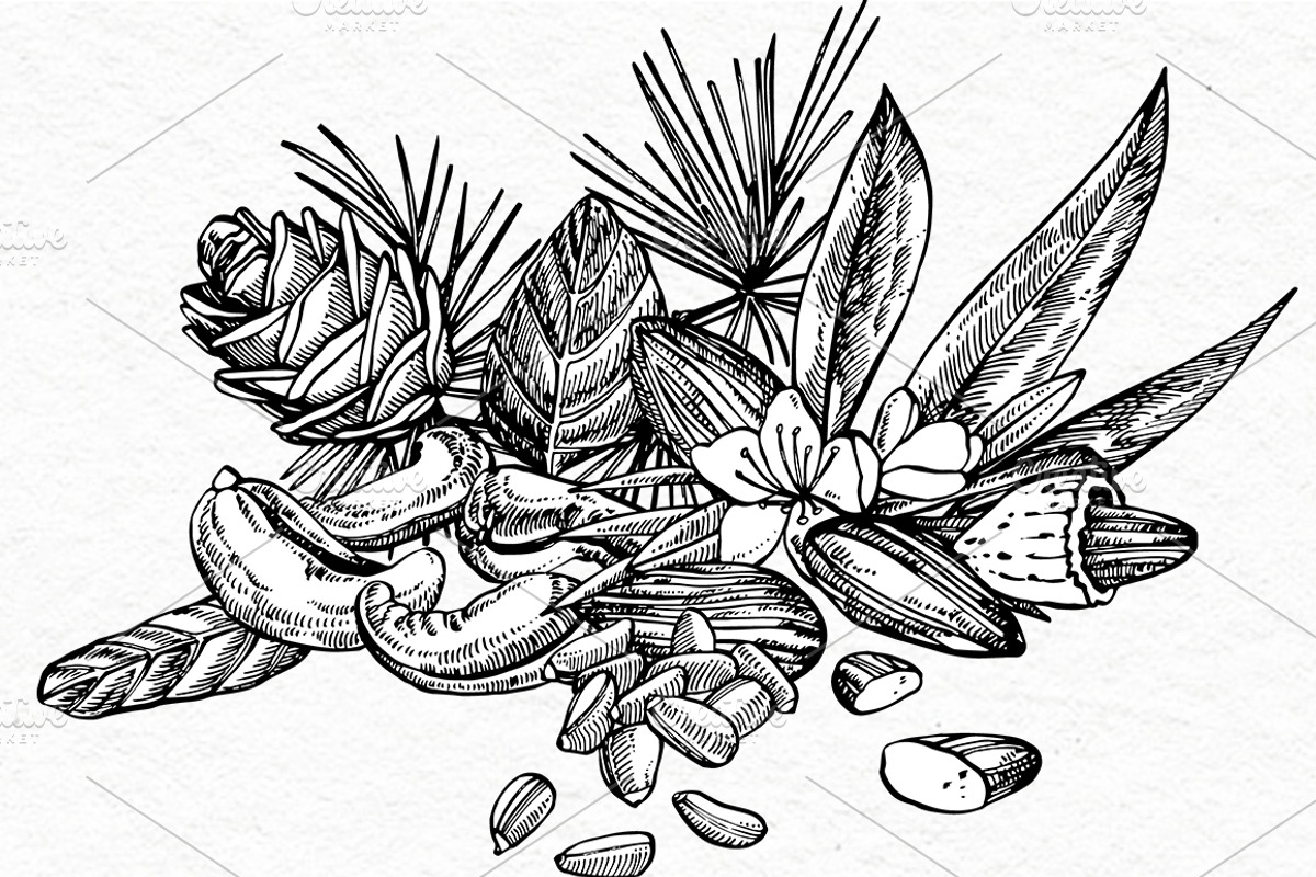 Nuts and snacks, a Food Illustration by Ann Astro (Photo 9 of 24)