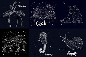 Constellation Of Animals