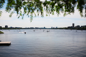 Boston's Bay