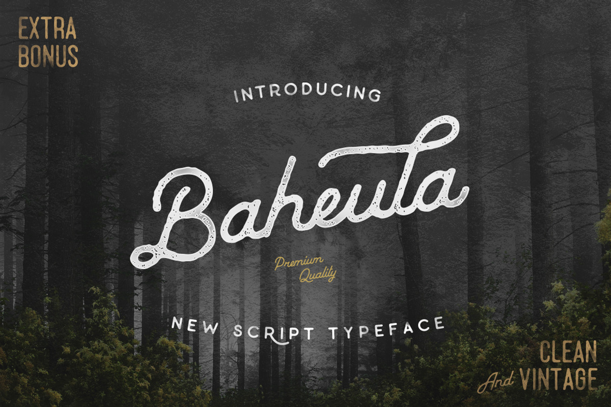 Baheula Vintage + Clean Typeface, a Script Font by Wandery Supply (Photo 4 of 12)