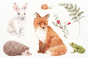 Watercolor Forest Set, a Decorative Illustration by Lembrik's Artworks (Thumbnail 2 of 6)