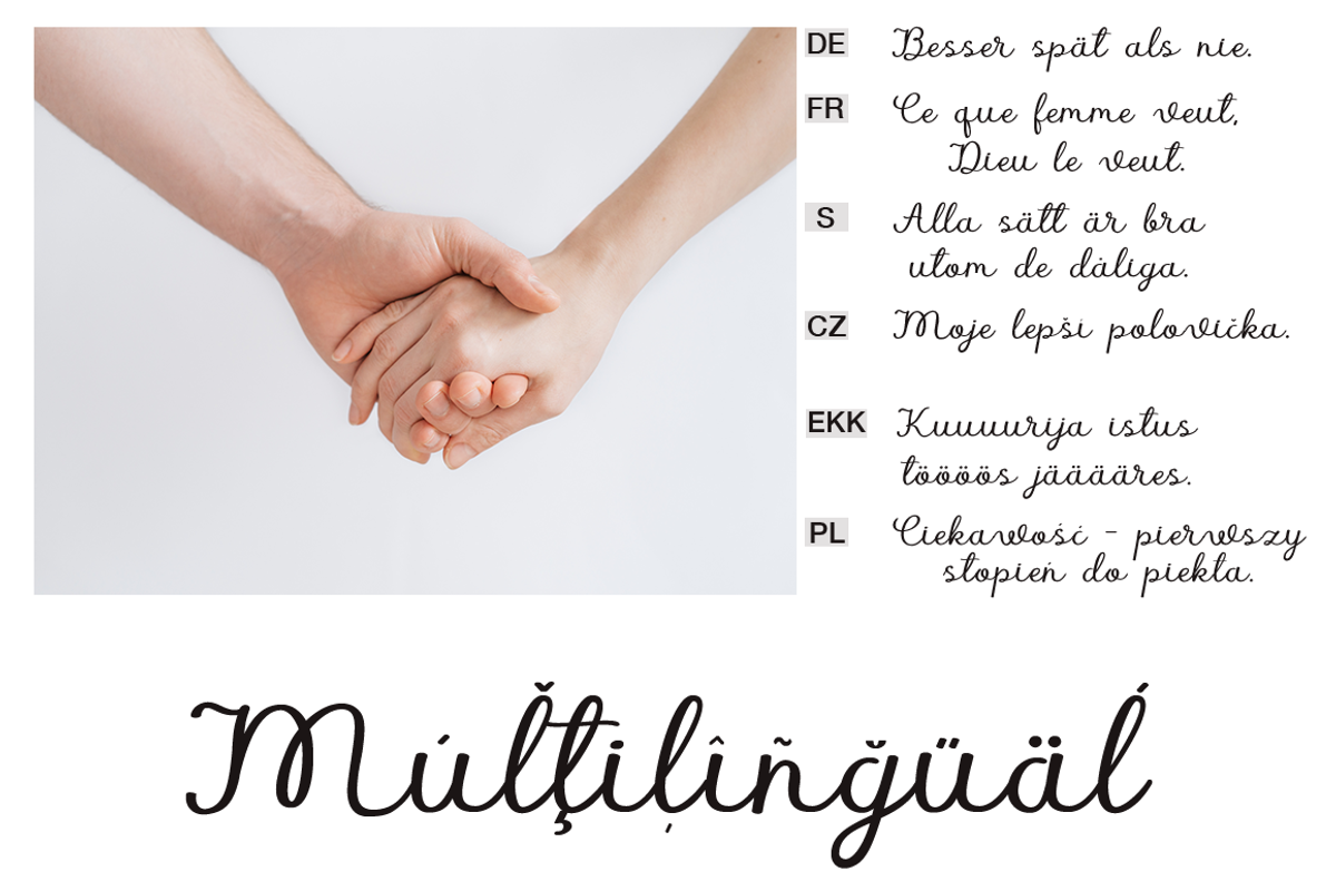 American Beauty calligraphy script preview 3