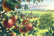 Apple set, a Food Illustration by Countryside life (Thumbnail 4 of 12)