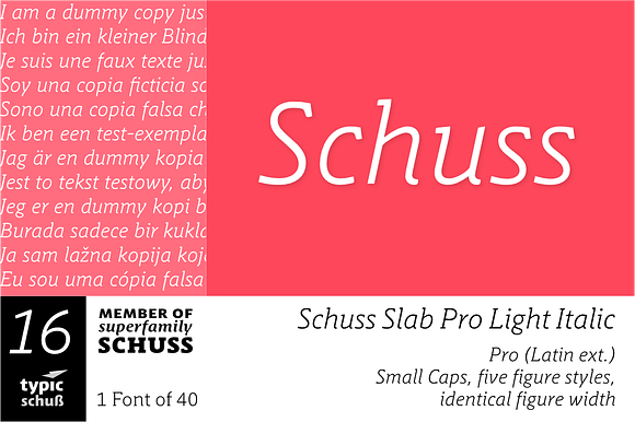 SchussSlabProLightIta No.16 (1 Font) preview 6