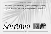 CS Gisele – Modern Font, a Serif Font by Craft Supply Co. (Thumbnail 4 of 8)