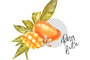 Mango clipart in botanical style, a Food Illustration by Ann Astro (Thumbnail 6 of 10)