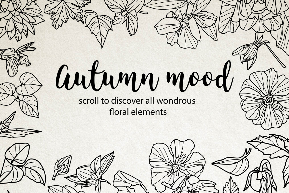 50 hand drawn floral elements, a Decorative Illustration by ItsDianaDesign (Photo 2 of 5)