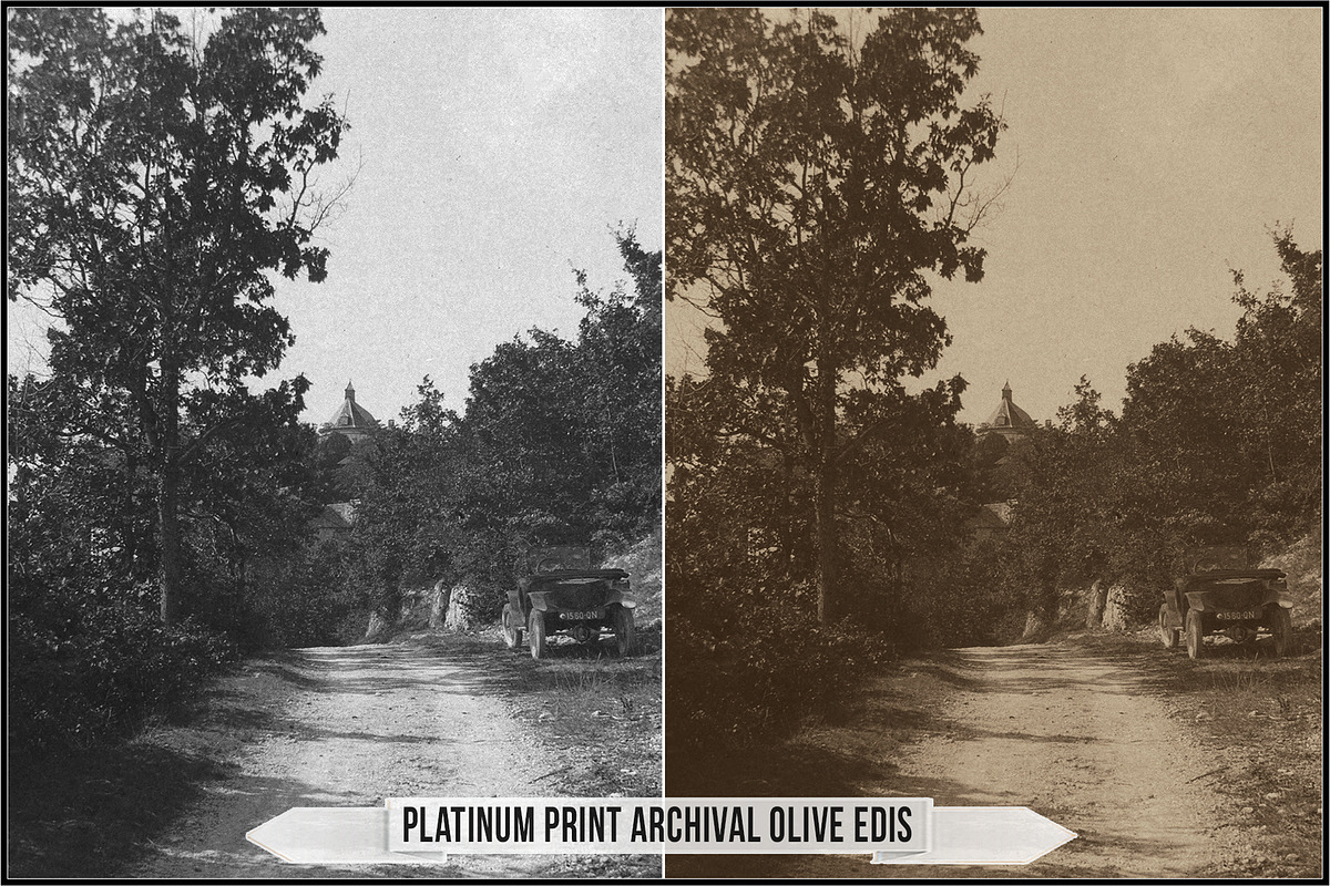 Platinum Palladium Prints LUTs, a Plug-in Add-On by Raztrend (Photo 28 of 32)