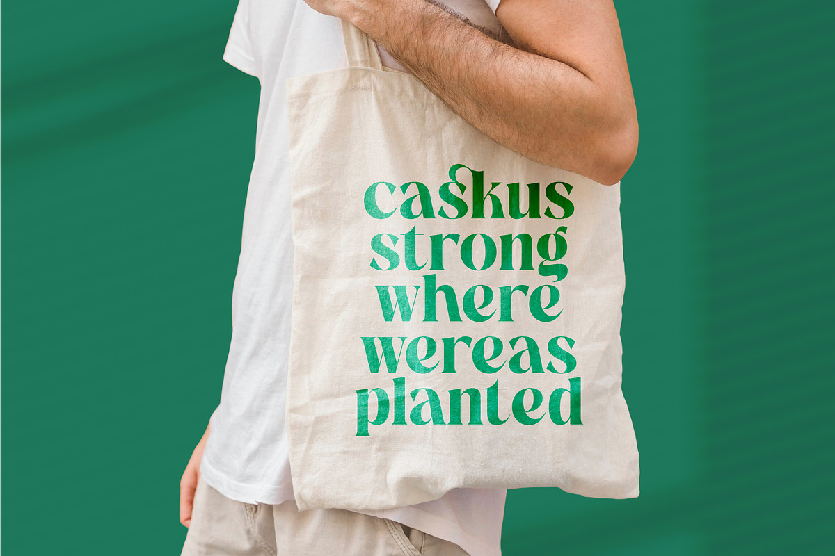 The Bencoy Modern Serif Display, a Serif Font by timelesstype.co (Photo 13 of 20)